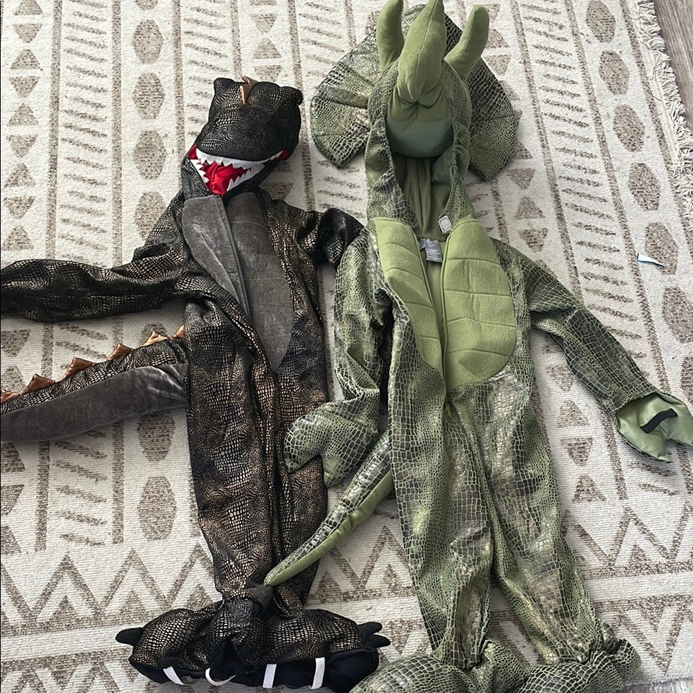 Kids Dinosaur Costume Set - Black and Green
